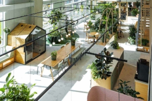 Be-Max-showroom-biophilic-design-kantoorinrichting-biofilia-interieur-kantoorinterieur-kantooroplossing-groen-natuur-projectinrichting-project-kantoorinspiratie-welzijn-kantooromgeving