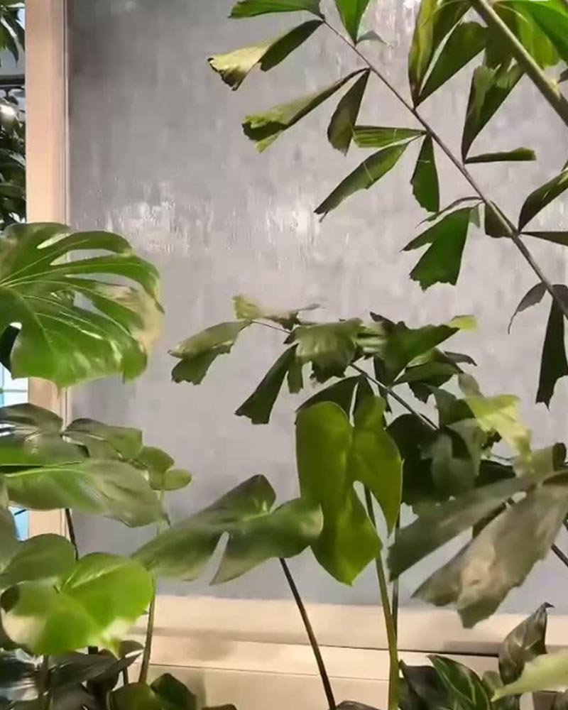 bemax-biophilic-design-event-kantoor-kantoorinrichting-trends-interieur-biofilia-natuur