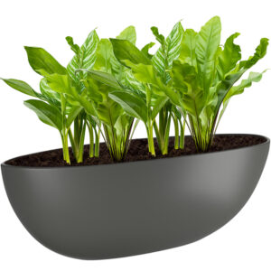 Be-Max-Office-Concepts-Bootschaal-plantenbak-plant-pot-schaal