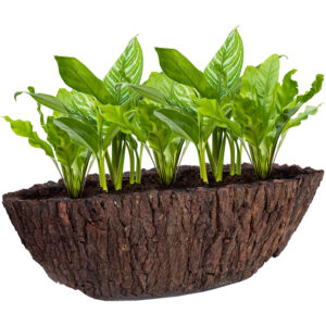 Be-Max-Office-Concepts-Bosco-Bark-ovale-plantenbak-plant-pot-boomschors-bootschaal