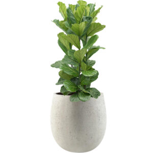 Be-Max-Office-Concepts-Grigio-Balloon-plantenbak-plant-pot-betonlook-plantenpot-bloempot