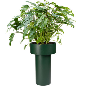 Be-Max-Office-Concepts-mushroom-plantenbak-plantenpot-bloem-pot-bak-plant