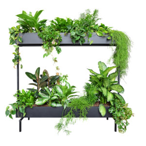 Be-Max-Office-Concepts-roomdivider-plantenwand-divider-plant-groenwand-scheidingwand