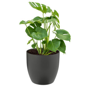 Be-Max-Office-Concepts-top-standard-plantenbak-plant-pot-groen-bloempot-bak-kantoor