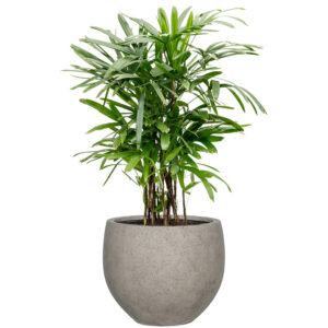 Be-Max-Office-Concepts-urban-jumbo-orb-ronde-plantenbak-plant-pot-groen-bloempot-bak