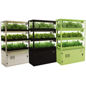 Be-Max-Office-Concepts-vegger-vertical-farming-kweken-kweeksysteem-plant-groen-moestuin