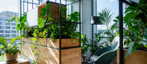 Be-Max-actie-interieur-professional-architect-ontwerper-biophilic-design