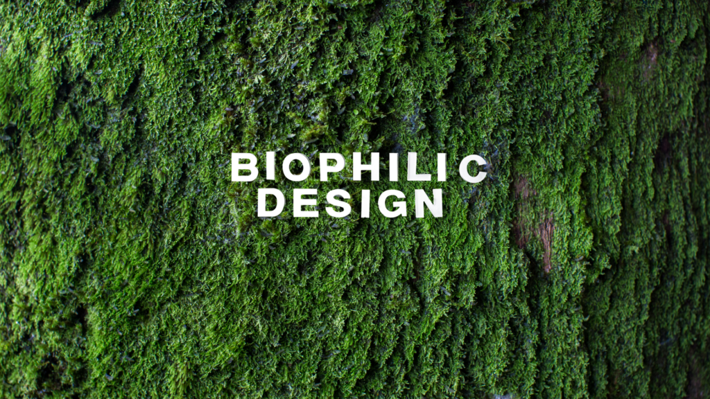 biophilic design veelgestelde vragen