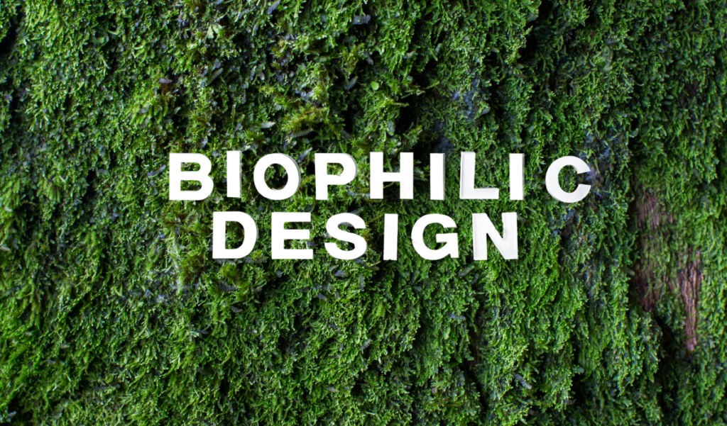biophilic design veelgestelde vragen
