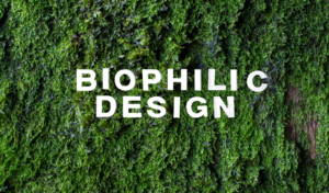 biophilic design veelgestelde vragen