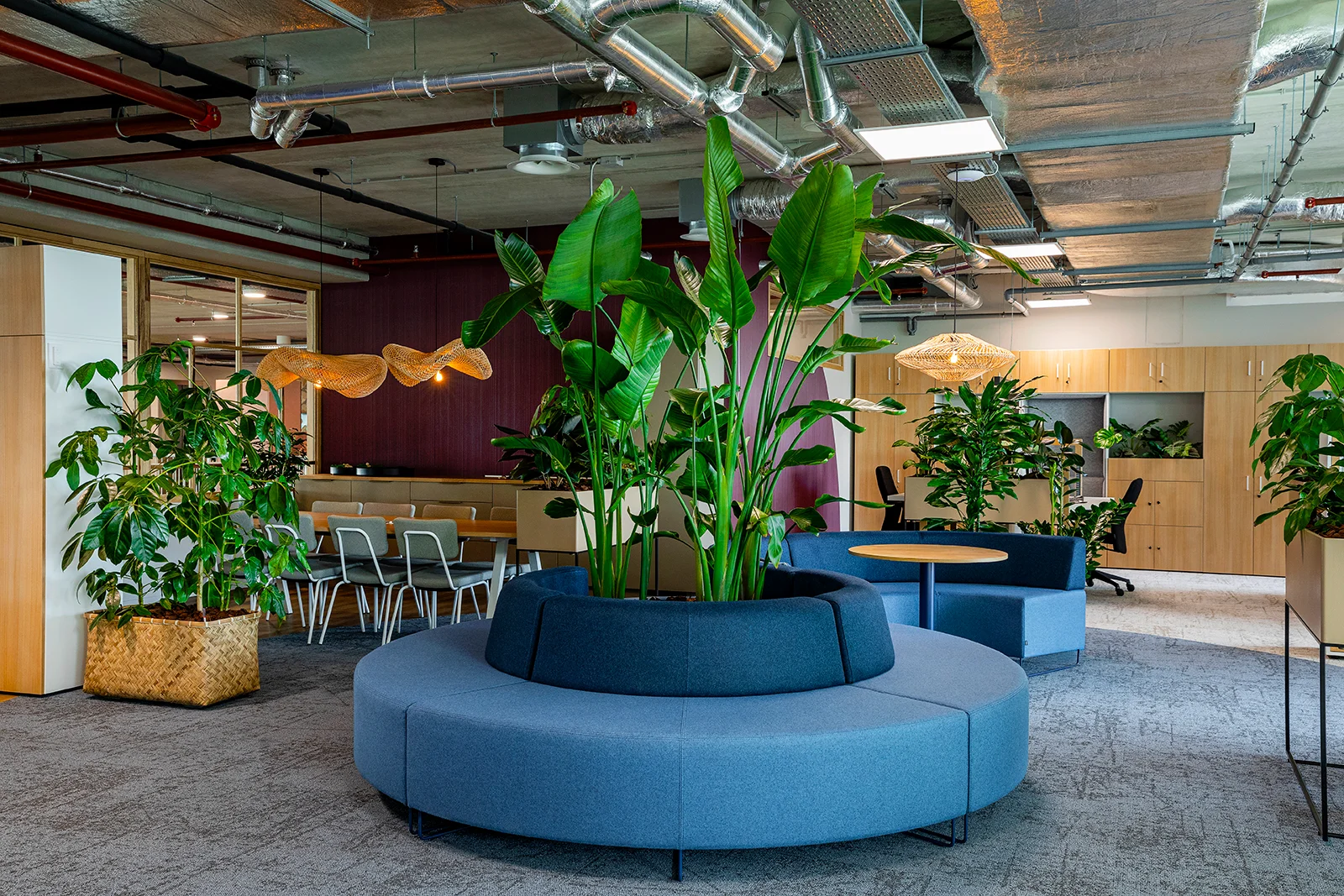 Be-max biophilic design interieur en kantoorinrichting