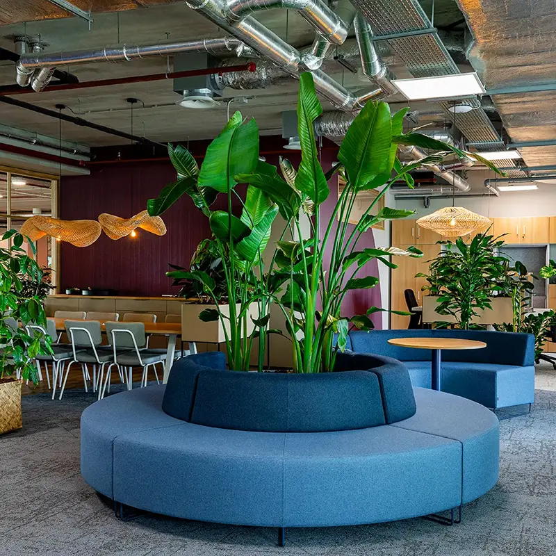 Be-max biophilic design interieur en kantoorinrichting expert in groen en inrichting