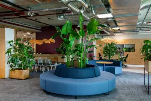 Be-max biophilic design interieur en kantoorinrichting expert in groen en inrichting