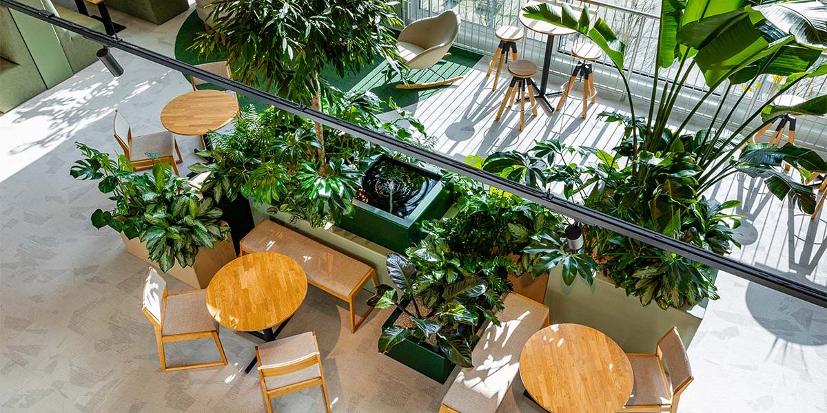 Be-Max-showroom-biophilic-design-kantoorinrichting-biofilia-interieur-kantoorinterieur-kantooroplossing-groen-natuur-projectinrichting-project-kantoorinspiratie-welzijn-kantooromgeving