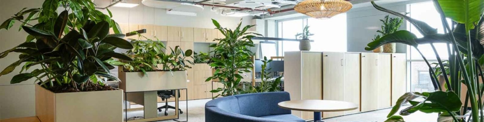Eindklant Biophilic Design kantoor