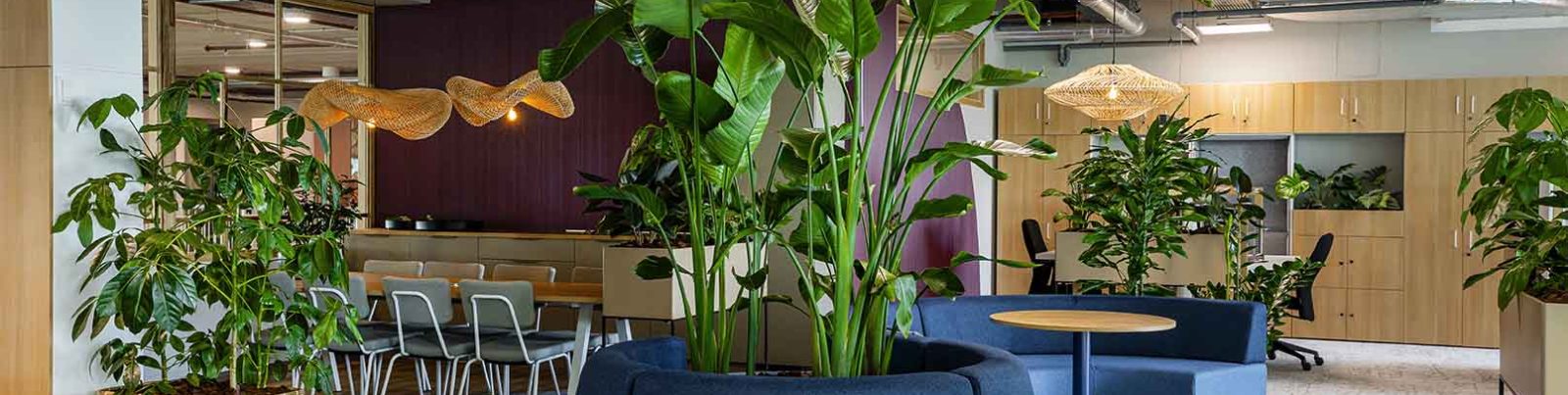 bemax-biophilic-design-klantcase-kantoorinrichting-natuurlijke-elementen-kantoorinrichting-kantoorinterieur-modulaire-bank-organische-vormen-hout-planten-groen-interieur