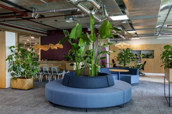 bemax-biophilic-design-klantcase-kantoorinrichting-natuurlijke-elementen-kantoorinrichting-kantoorinterieur-modulaire-bank-organische-vormen-hout-planten-groen-interieur
