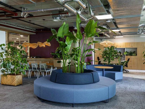 bemax-biophilic-design-klantcase-kantoorinrichting-natuurlijke-elementen-kantoorinrichting-kantoorinterieur-modulaire-bank-organische-vormen-hout-planten-groen-interieur