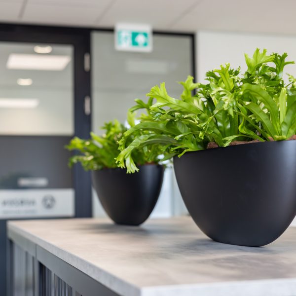 Be-Max-Office-Concepts-Bootschaal-plantenbak-plant-pot-schaal