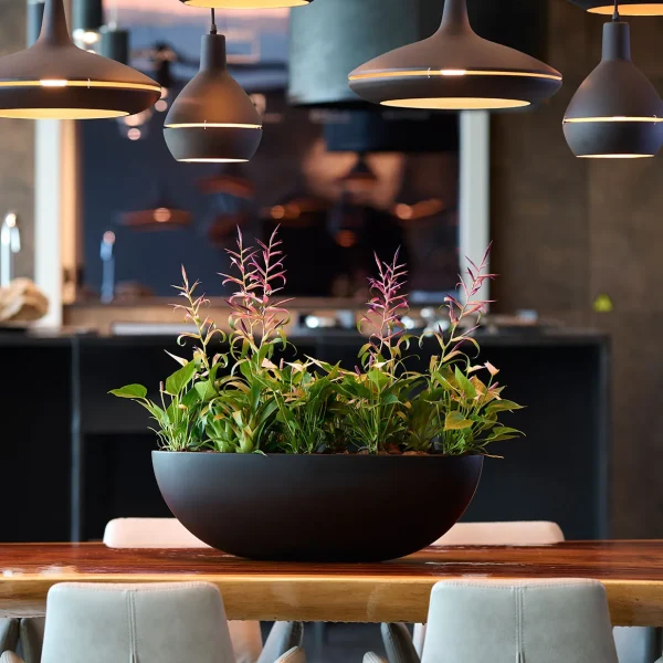 Be-Max-Office-Concepts-Bootschaal-plantenbak-plant-pot-schaal