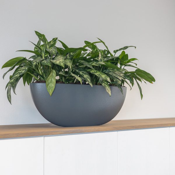 Be-Max-Office-Concepts-Bootschaal-plantenbak-plant-pot-schaal
