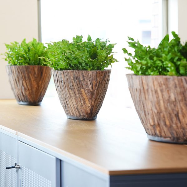 Be-Max-Office-Concepts-Bosco-Bark-ovale-plantenbak-plant-pot-boomschors-bootschaal
