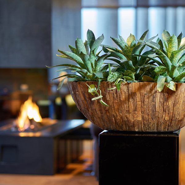 Be-Max-Office-Concepts-Bosco-Cemani-ovale-plantenbak-plant-pot-boomschors-bootschaal