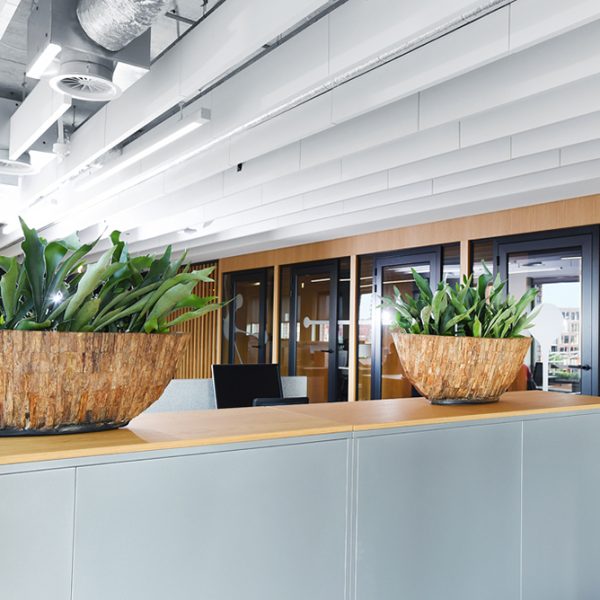 Be-Max-Office-Concepts-Bosco-Cemani-ovale-plantenbak-plant-pot-boomschors-bootschaal