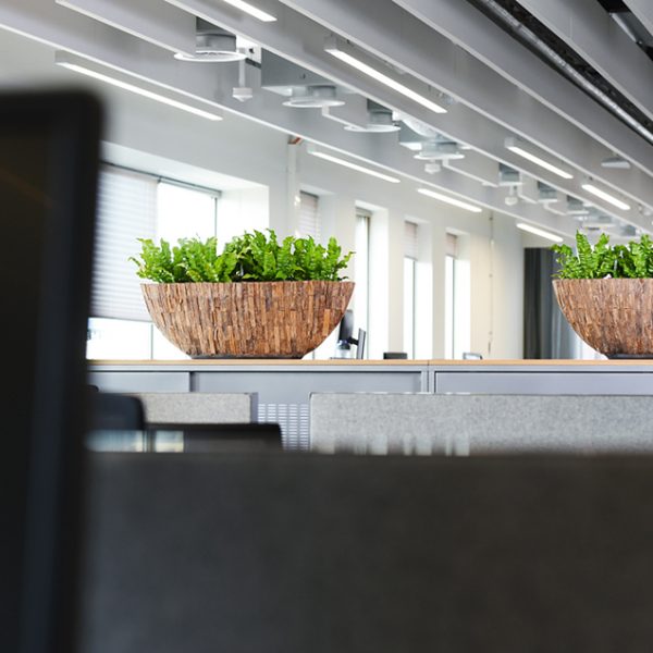 Be-Max-Office-Concepts-Bosco-Cemani-ovale-plantenbak-plant-pot-boomschors-bootschaal