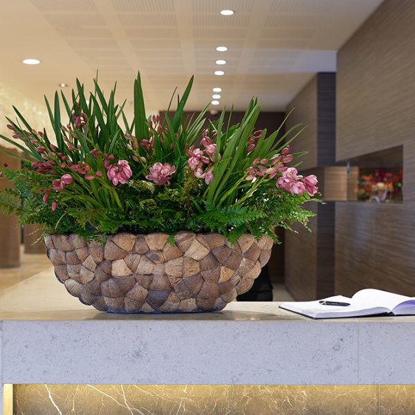 Be-Max-Office-Concepts-Bosco-Coconut-ovale-plantenbak-plant-pot-boomschors-bootschaal