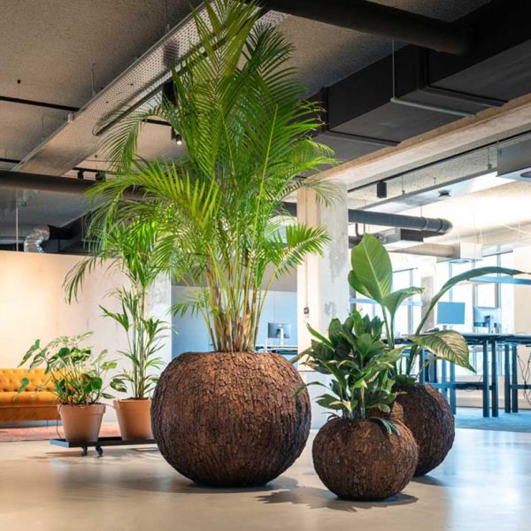 Be-Max-Office-Concepts-Bosco-bowl-bark-ronde-plantenbak-plant-pot-schors-boomschors