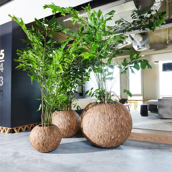 Be-Max-Office-Concepts-Bosco-bowl-cemani-ronde-plantenbak-plant-pot-hout