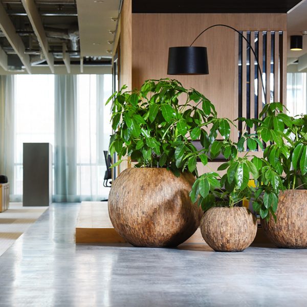 Be-Max-Office-Concepts-Bosco-bowl-cemani-ronde-plantenbak-plant-pot-hout