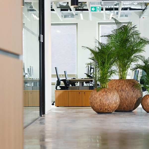 Be-Max-Office-Concepts-Bosco-bowl-cemani-ronde-plantenbak-plant-pot-hout