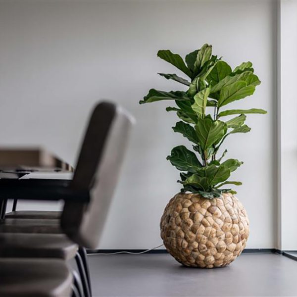 Be-Max-Office-Concepts-Bosco-bowl-coconut-ronde-plantenbak-plant-pot-kokosnoot