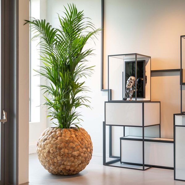 Be-Max-Office-Concepts-Bosco-bowl-coconut-ronde-plantenbak-plant-pot-kokosnoot