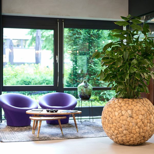 Be-Max-Office-Concepts-Bosco-bowl-coconut-ronde-plantenbak-plant-pot-kokosnoot