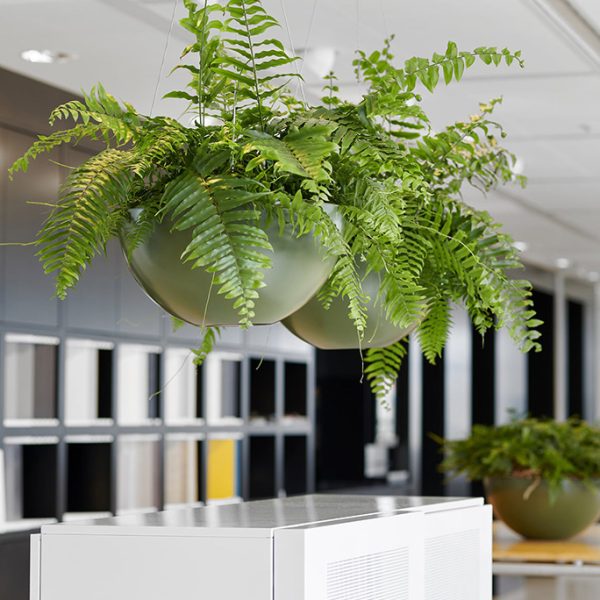 Be-Max-Office-Concepts-Cascara-schaal-plantenschaal-plantenbak-plant-pot