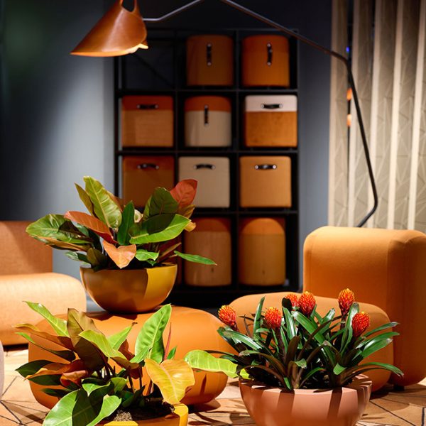 Be-Max-Office-Concepts-Cascara-schaal-plantenschaal-plantenbak-plant-pot