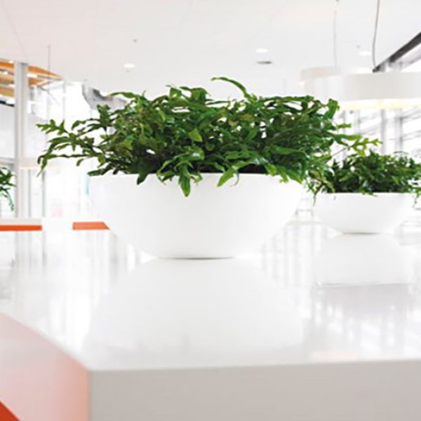 Be-Max-Office-Concepts-Cascara-schaal-plantenschaal-plantenbak-plant-pot