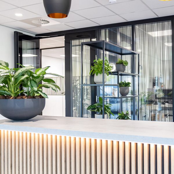 Be-Max-Office-Concepts-Cascara-schaal-plantenschaal-plantenbak-plant-pot