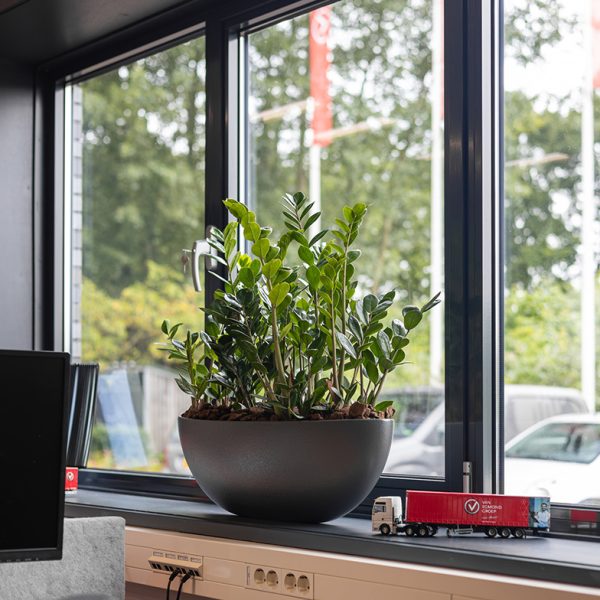 Be-Max-Office-Concepts-Cascara-schaal-plantenschaal-plantenbak-plant-pot