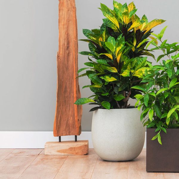 Be-Max-Office-Concepts-Grigio-Balloon-plantenbak-plant-pot-betonlook-plantenpot-bloempot