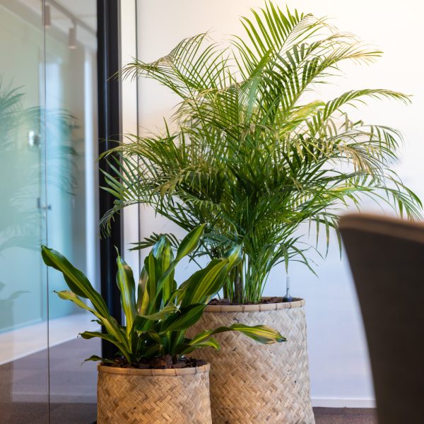 Be-Max-Office-Concepts-handgewegen-bamboe-bohemian-plantenbak-plant-pot-plantenmand