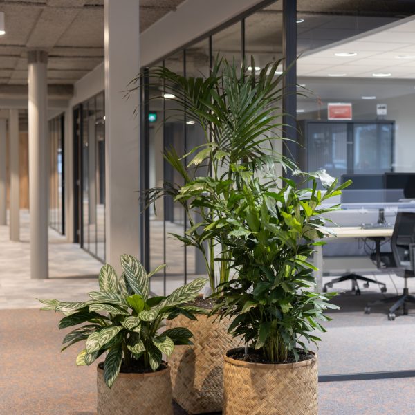 Be-Max-Office-Concepts-handgewegen-bamboe-bohemian-plantenbak-plant-pot-plantenmand