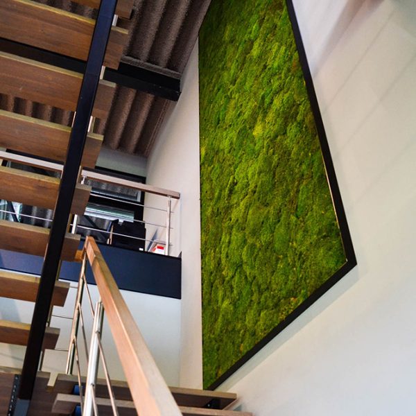 Be-Max-Office-Concepts-mosschilderij-logo-op-maat-mos-wand-moswand-groen-moslogo-kantoor