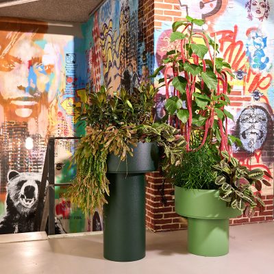 Be-Max-Office-Concepts-mushroom-plantenbak-plantenpot-bloem-pot-bak-plant