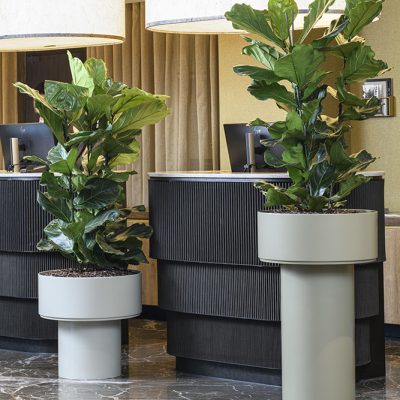 Be-Max-Office-Concepts-mushroom-plantenbak-plantenpot-bloem-pot-bak-plant