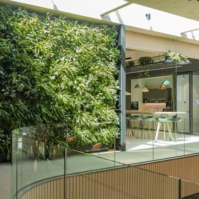 Be-Max-Office-Concepts-plantenwand-plant-groenwand-groen-kantoor-biophilic-design