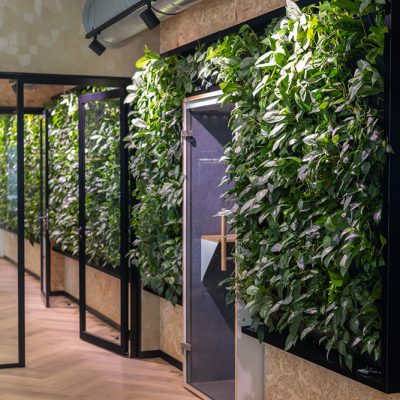 Be-Max-Office-Concepts-plantenwand-plant-groenwand-groen-kantoor-biophilic-design